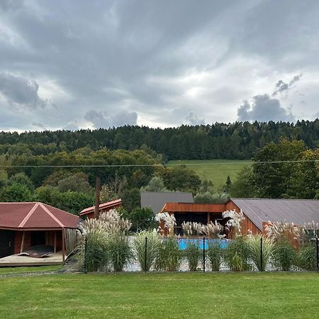 Villa U Zrodel Strwiaza à Ustrzyki Dolne Extérieur photo