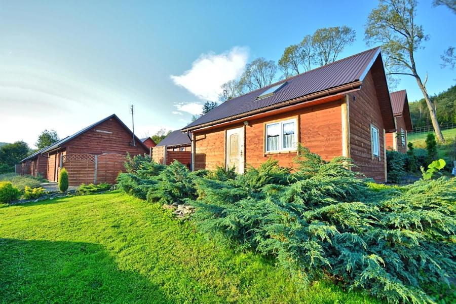 Villa U Zrodel Strwiaza à Ustrzyki Dolne Extérieur photo
