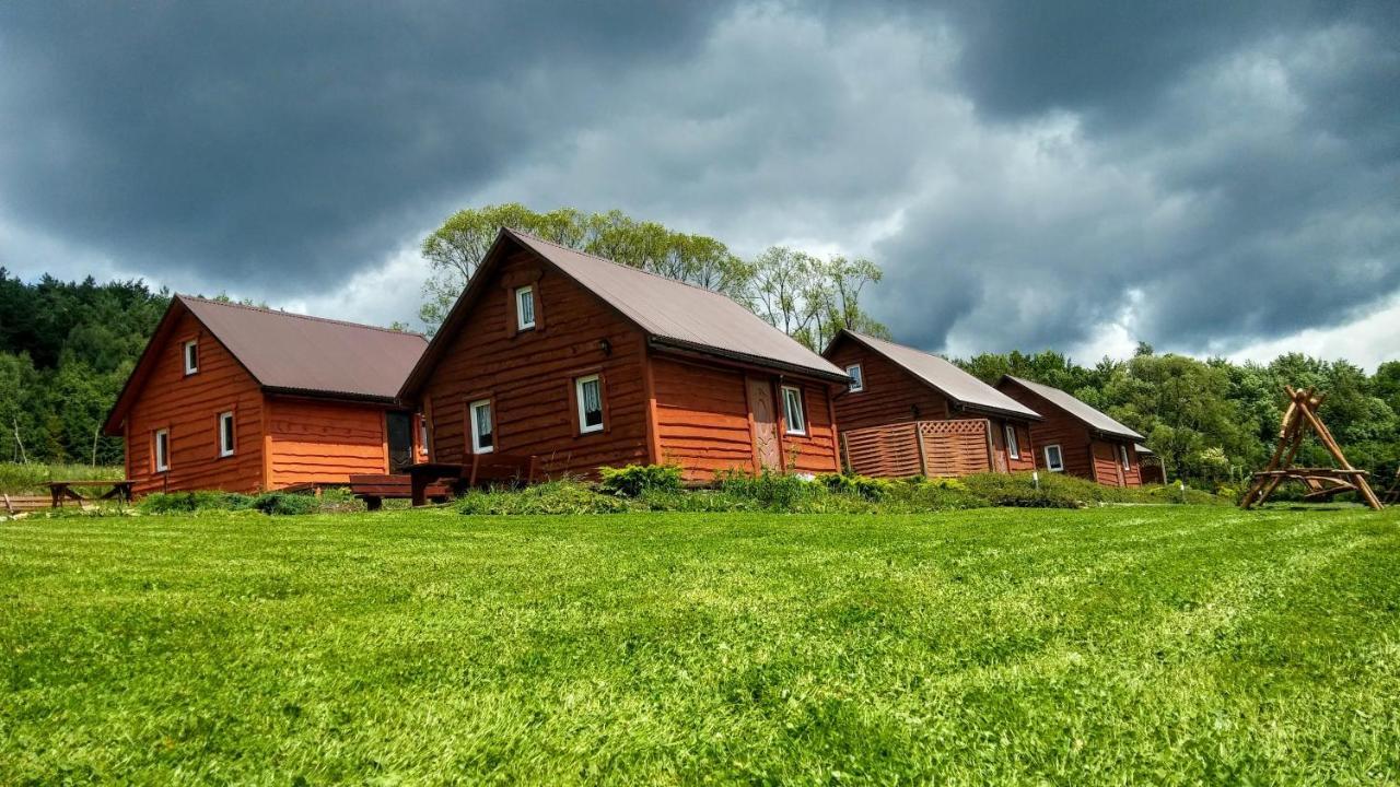 Villa U Zrodel Strwiaza à Ustrzyki Dolne Extérieur photo