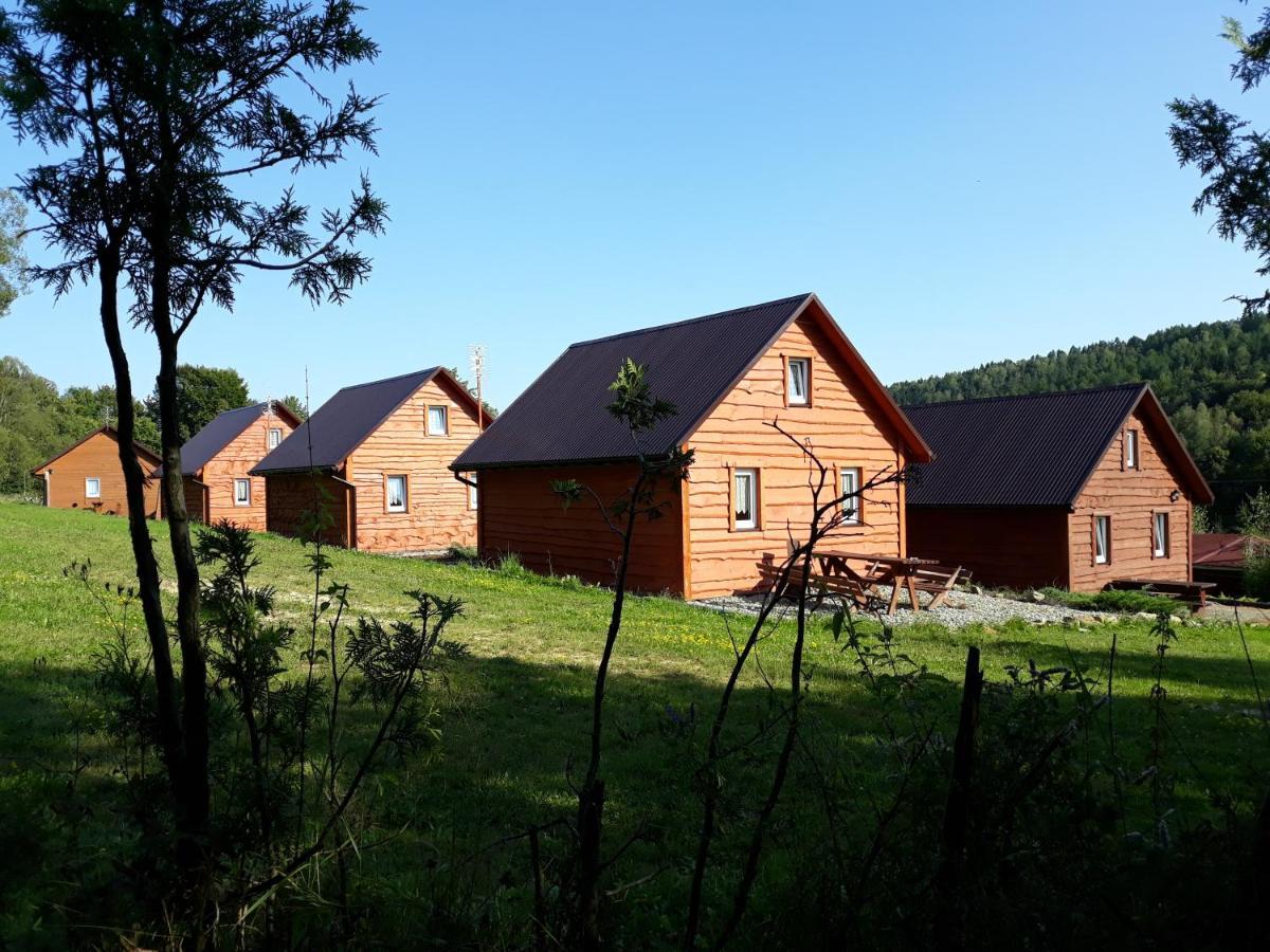 Villa U Zrodel Strwiaza à Ustrzyki Dolne Extérieur photo