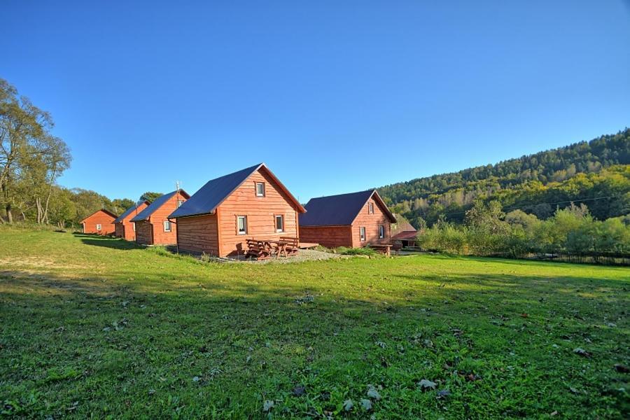 Villa U Zrodel Strwiaza à Ustrzyki Dolne Extérieur photo