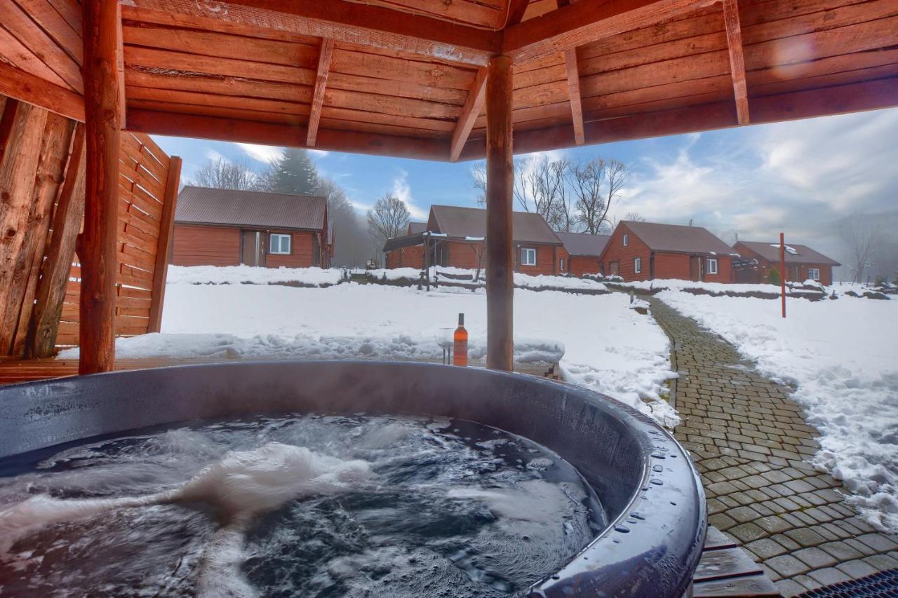 Villa U Zrodel Strwiaza à Ustrzyki Dolne Extérieur photo