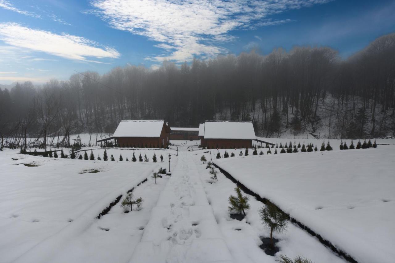 Villa U Zrodel Strwiaza à Ustrzyki Dolne Extérieur photo