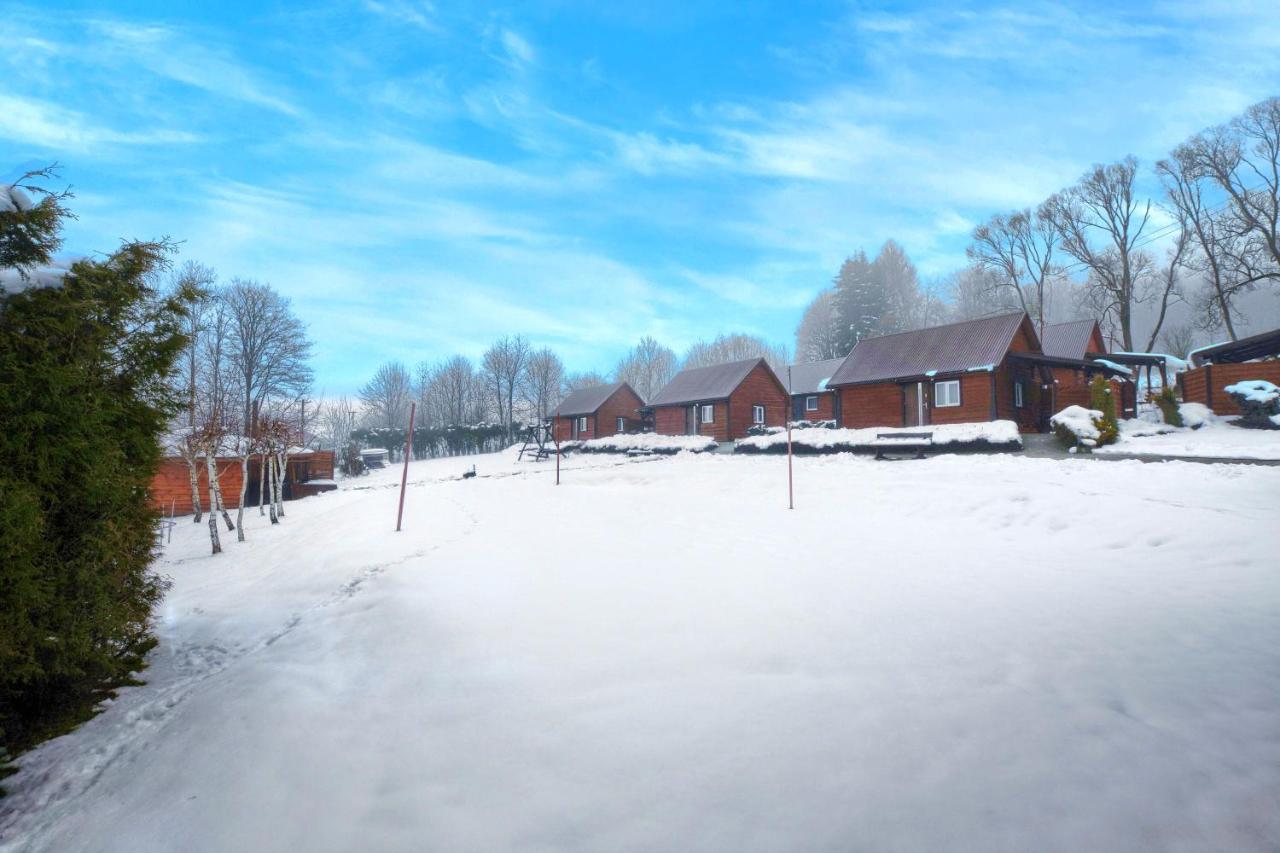 Villa U Zrodel Strwiaza à Ustrzyki Dolne Extérieur photo