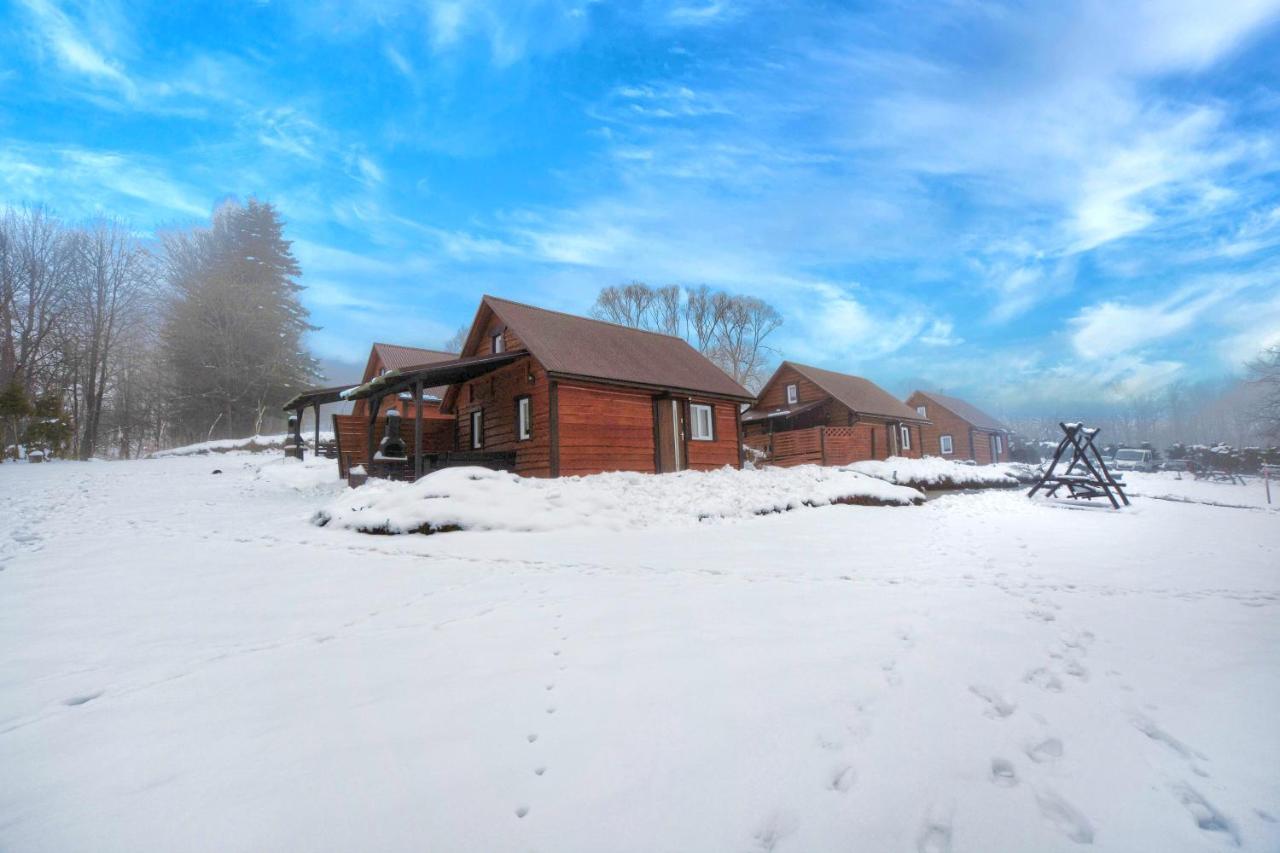 Villa U Zrodel Strwiaza à Ustrzyki Dolne Extérieur photo