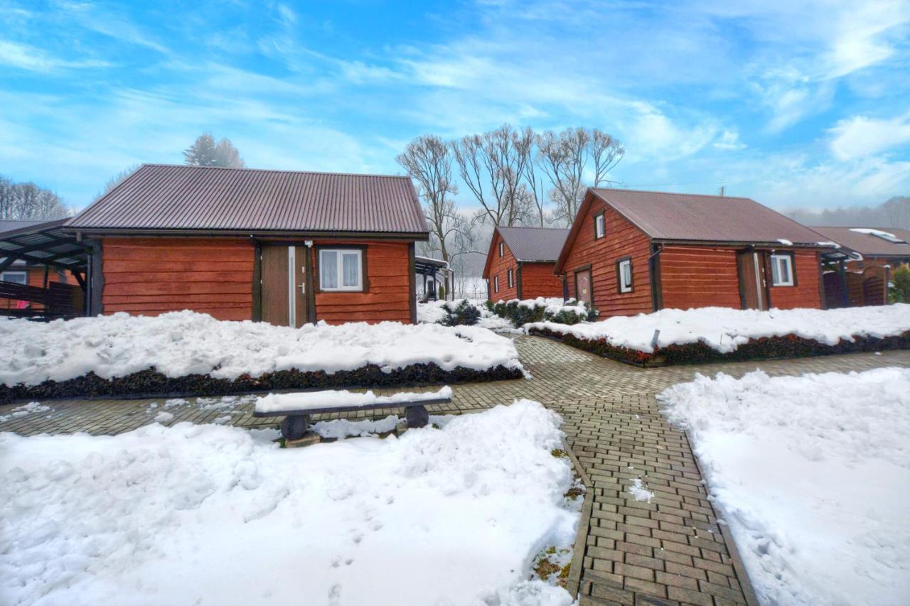 Villa U Zrodel Strwiaza à Ustrzyki Dolne Extérieur photo
