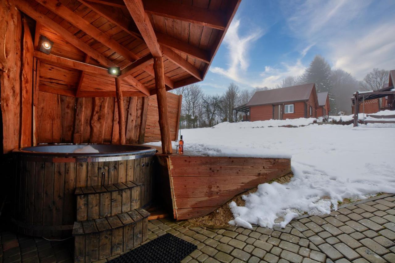 Villa U Zrodel Strwiaza à Ustrzyki Dolne Extérieur photo