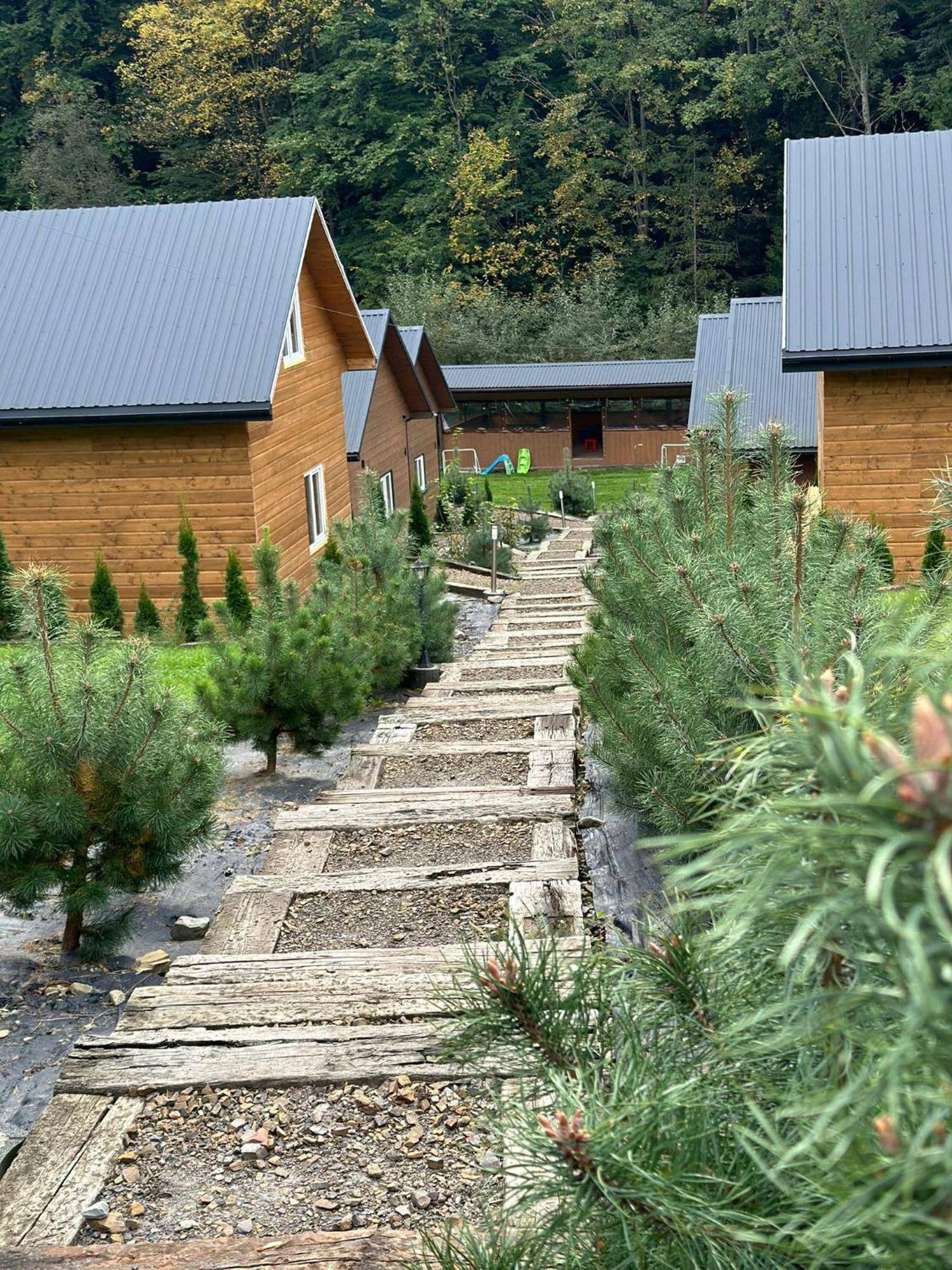 Villa U Zrodel Strwiaza à Ustrzyki Dolne Extérieur photo